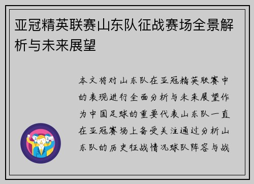 亚冠精英联赛山东队征战赛场全景解析与未来展望